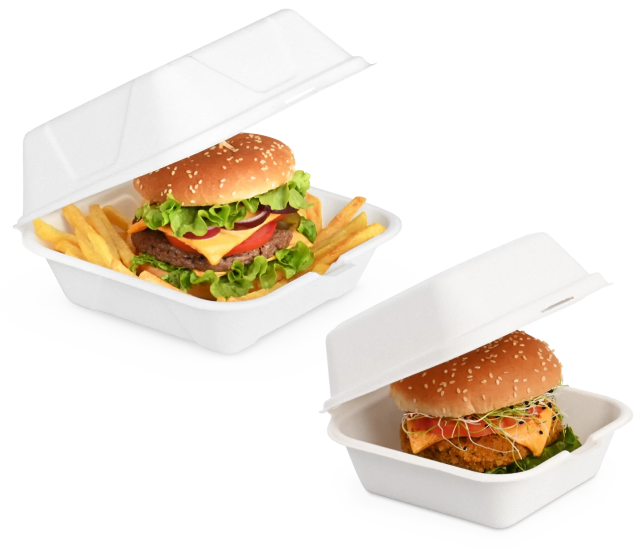Burger-Box aus Bagasse